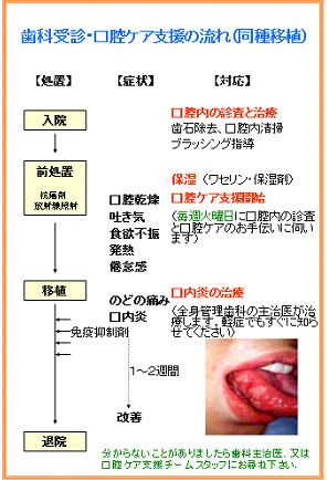 患者用パンフレット